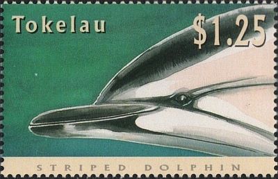 1996 - Дельфины 