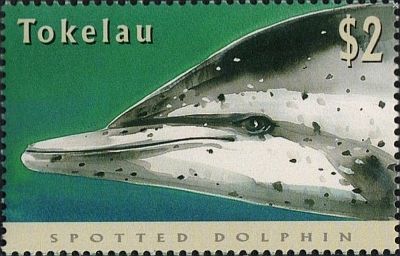 1996 - Дельфины 