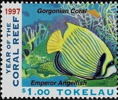 1996 - Кораллы 
