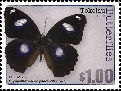 2013 - Бабочки 