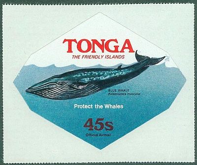 1977 - Охрана китов