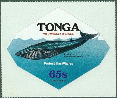 1977 - Охрана китов