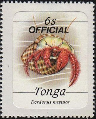 1984 - Морская фауна