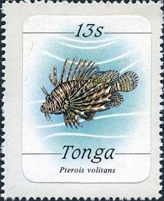 1984 - Морская фауна