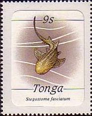 1985 - Морская фауна