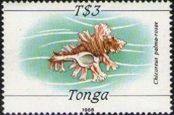 1988 - Морская фауна II 