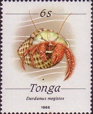 1988 - Морская фауна II 