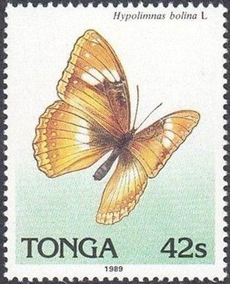 1989 - Бабочки