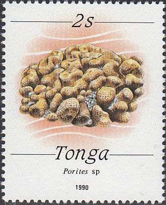 1990 - Морская фауна
