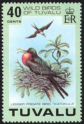 1978 - Птицы 