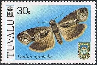 1980 - Бабочки 