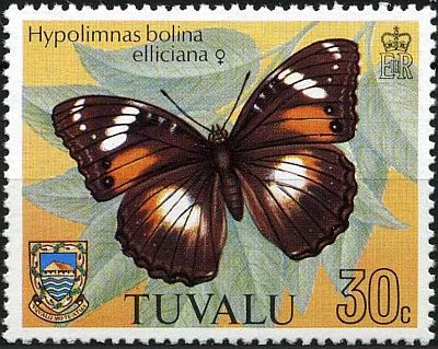 1981 - Бабочки 
