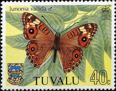 1981 - Бабочки 