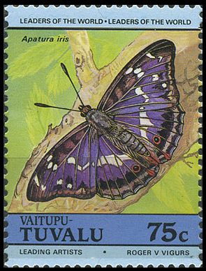 1985 -  Бабочки