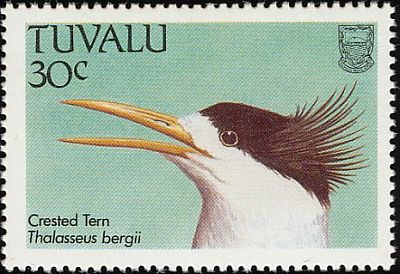 1988 -  Птицы   