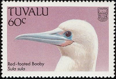 1988 -  Птицы   