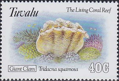 1993 - Фауна моря