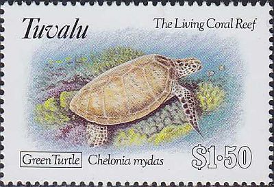 1993 - Фауна моря