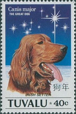 1994 - Год Собаки