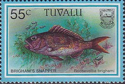 1997 - Рыбы
