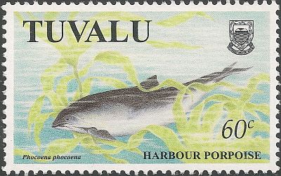 1998 - Дельфины 