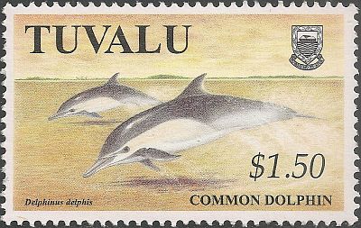 1998 - Дельфины 