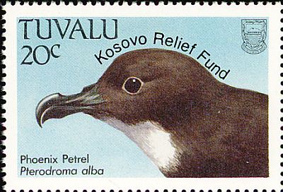 1999 - Птицы. Фонд возраждения Косово  