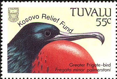 1999 - Птицы. Фонд возраждения Косово  