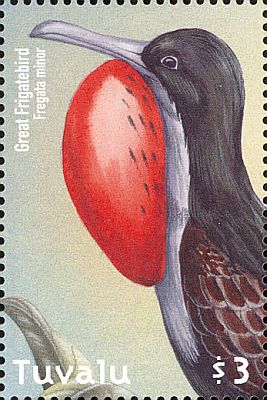 2000 - Птицы Тувалу 