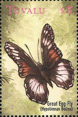 2000 - Бабочки  