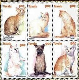 2000 - Кошки 