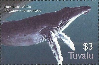 2005 - Морская фауна  