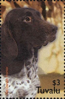 2005 - Год Собаки  