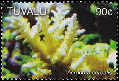 2006 - Кораллы   