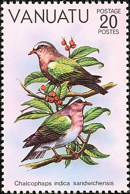 1981 Птицы