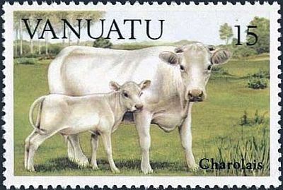 1984 - Коровы