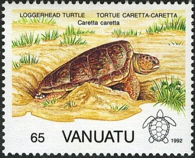 1992 - Черепахи