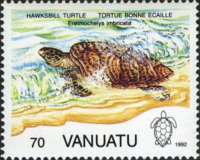 1992 - Черепахи