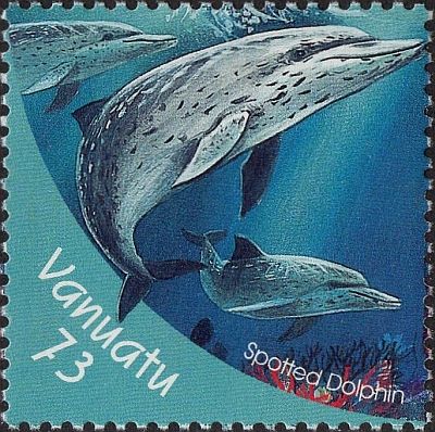2000 - Дельфины 