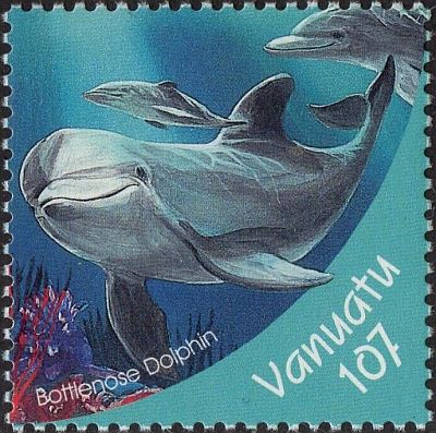 2000 - Дельфины 