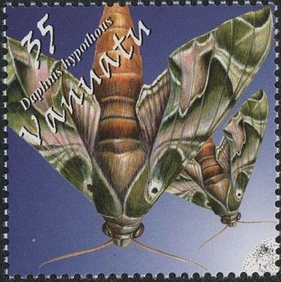 2003 - Бабочки 