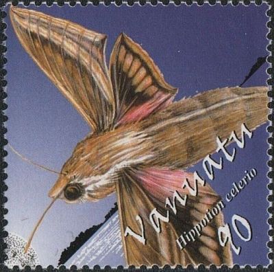 2003 - Бабочки 