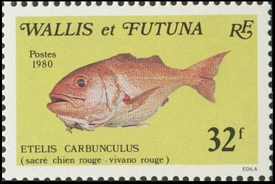 1980 г. -  Фауна моря.