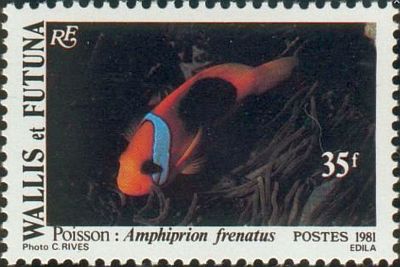 1981 г. -  Морская фауна.