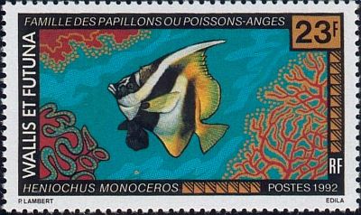 1992/93 г. -  Рыбы .