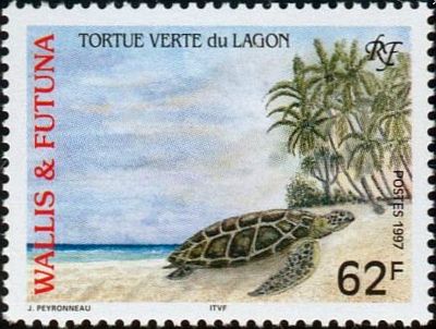 1997 г. -  Морские черепахи  .