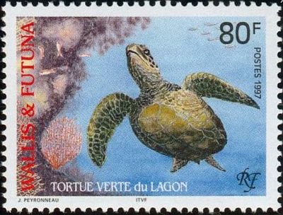 1997 г. -  Морские черепахи  .