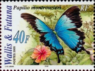 2005 г. -  Бабочки  .