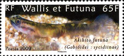 2009 г. -  Рыбы .